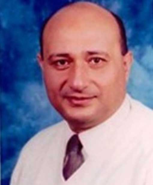 Essamuddin Mahmoud Mohamed Shafiei
