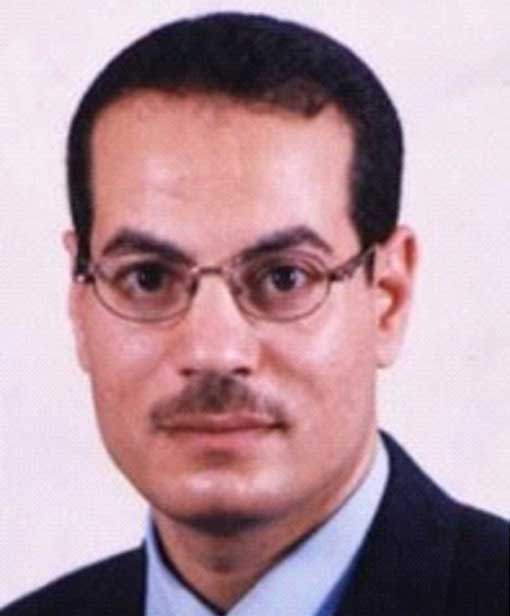 Hassan Fouad Mohamed Elsayed