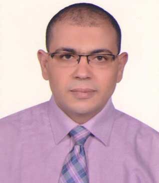 Prof. Dr. Amr Elsayed Mahmoud Mohamed