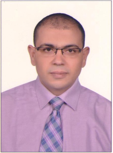 عمرو السيد